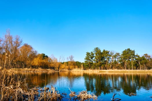 Autumn is the most colorful time of the year, when nature changes its usual appearance to golden colors in glimpses. Golden orange trees, green pines and a blue black lake. High quality photo