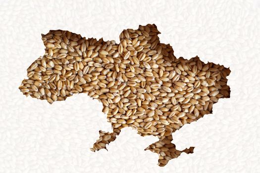 Ukraine shape map lies on wheat that is impossible to export. World grain crisis caused by Russian-Ukrainian war concept