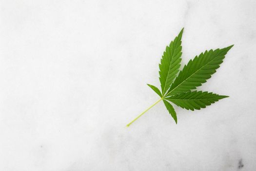 Cannabis leaf on marble surface with copy space.