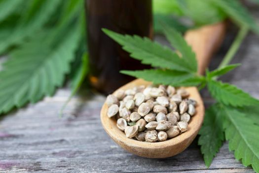 Close up of cannabis seeds with leaves and bottle of oil in the background.