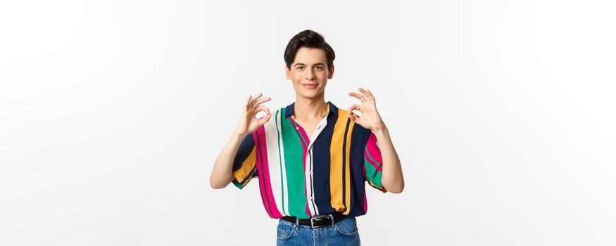 Satisfied young queer man showing okay signs and smiling in approval, agree and like something, praise excellent choice, standing over white background.