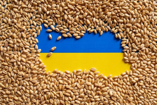 Wheat grain and Ukraine flag colors. Concept of grain floating problems stock photo