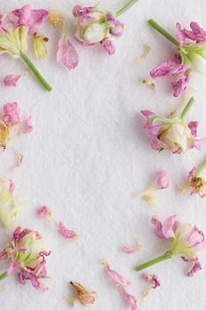 Floral pattern made of pinkflowers on white background. Flowers pattern texture top view