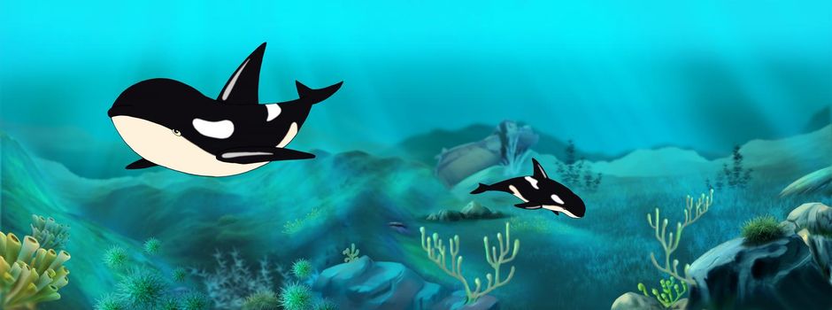 Killer Whale underwater. Digital Painting Background, Illustration.