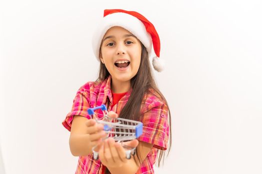 cute caucasian girl holding little shopping cart on a hand.