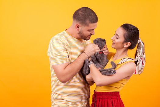 Happy young couple smiling and playing with their cat. Cat looking at owner.