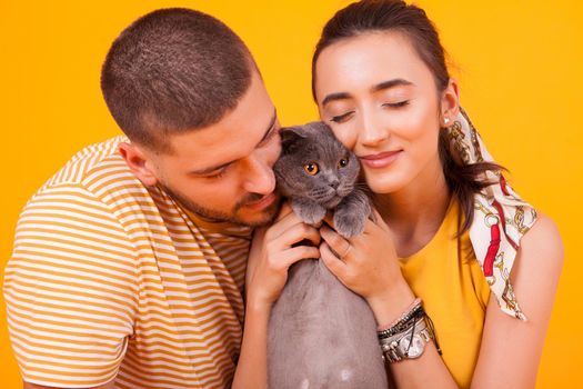 Happy young couple with their well-groomed cats poses in studio. Couple loving their cat.