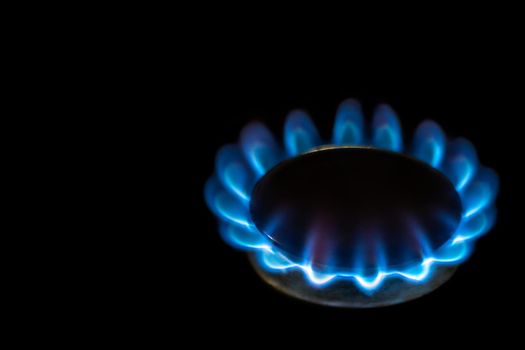 Close-up of a burner, blue flames, on a black background.