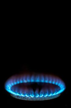 Close-up of a burner, blue flames, on a black background.