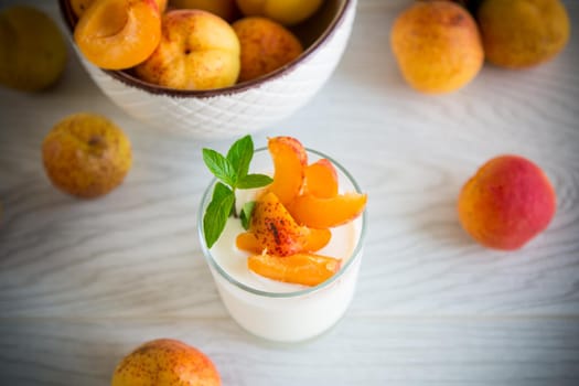 Healthy breakfast of homemade yogurt in a glass with fresh apricots on the table.