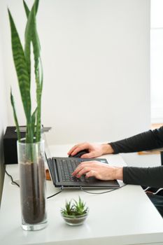 Stylish decoration of workplace white interior with smal green plants.