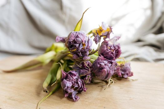 Bouquet of purple tulips standing at the window in a white metal jar surrounded with two pots with home plants. High quality photo