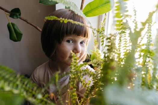 Portrait of a Toddler girl sitting at the window in between home plants. High quality photo