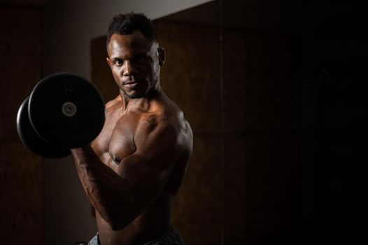 Attractive african american man doing biceps exercise with dumbbells