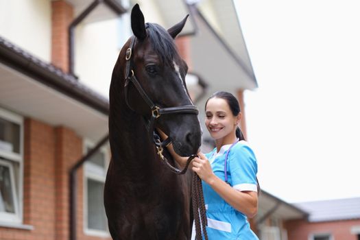 Veterinarian examined young horse perfectly. Medical services and diseases of horses concept