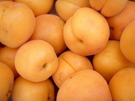 a bunch of Orange peaches at a farmers Market