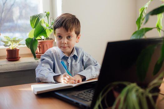 The boy is engaged in online education . Online training. Home schooling. A laptop. Child and technology. An article about the choice of education for a child. Article about home schooling online