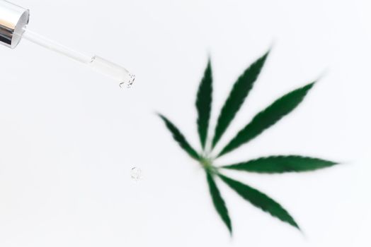 Pipette with a cosmetic product with hemp extract and cannabis leaf on a white background. A drop of cosmetic CBD oil falls from the pipette.