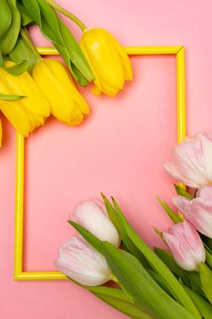 Tulips and a frame on a pink background . Tulips of kopi space. Pink background. Mockup . Space for text. A greeting card. Tulips on a pink background. Spring flowers. March eighth. Mother's Day. Birthday