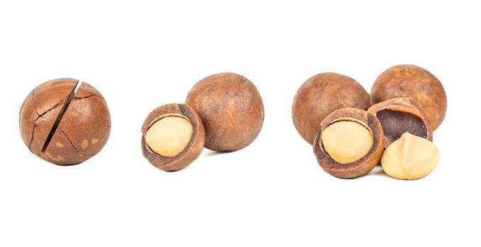 Macadamia nuts with peeled macadamia isolated on a white background. Set