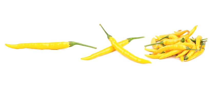 Fresh yellow thin chili pepper isolate on white background, set