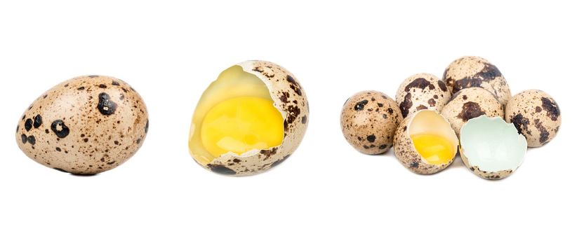 Solated quail eggs. Collection of quail eggs isolated on white background with clipping path