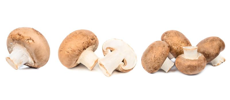 Set of fresh whole and sliced champignon mushrooms isolated on white background. Top view.