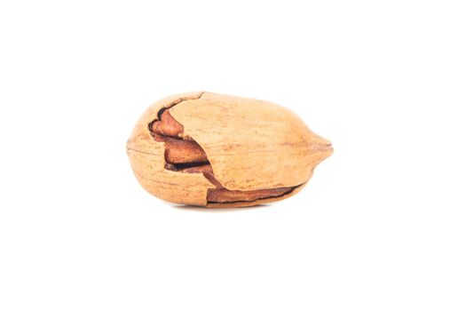 Pecan nut in shell isolated on white background