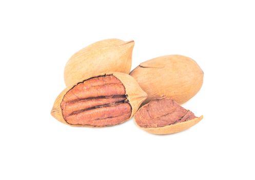 Three pecans in shell isolated on white background