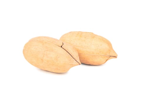 Two fresh pecans in shell on white background