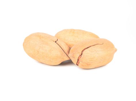 Three fresh pecans in shell on white background