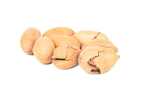 Bunch of inshell pecans on white background