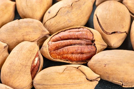 Scattered fresh pecans nuts in shell close up.