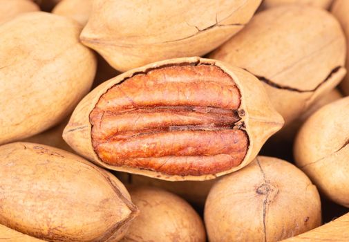 Heap of scattered pecans nut in shell closeup