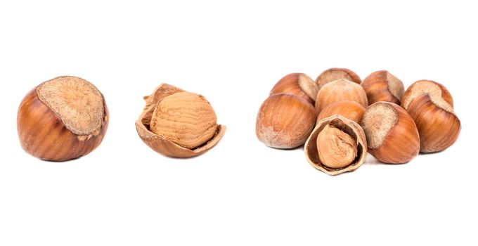 Hazelnut in shell isolated on white background. Set or collection