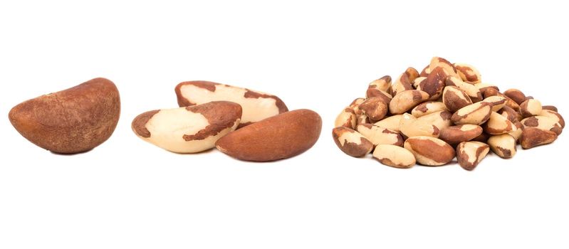 Dry brazil nut isolate on white background, collection