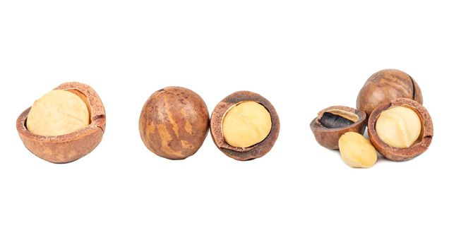 Macadamia nuts with peeled macadamia isolated on a white background. Set