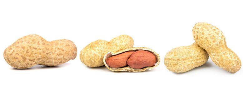 Peanuts. Unpeeled nuts isolated on white background. Collection. Full depth of field.