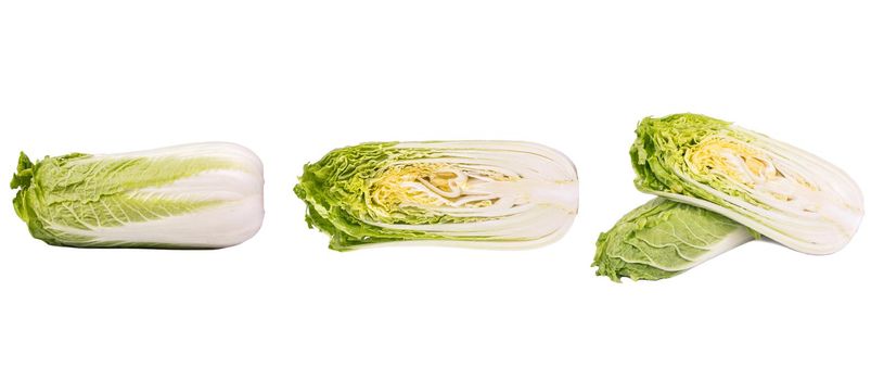 Green napa cabbage on white. Purple chinese cabbage isolated on white background. Set of chinese cabbage leaf, head of cabbage