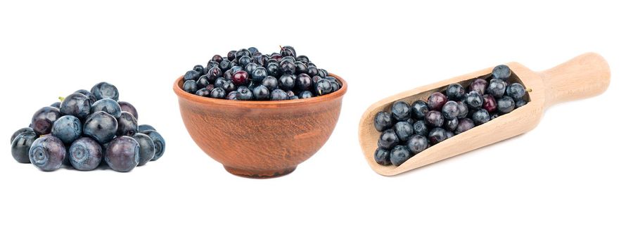 Blueberry berries isolated on white background. Collection.