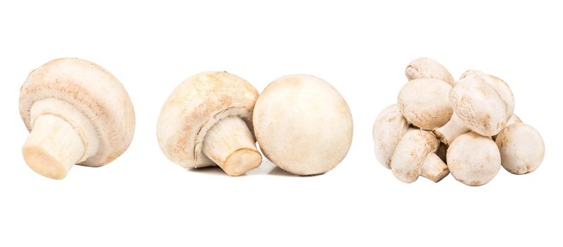 Set of fresh whole and sliced champignon mushrooms isolated on white background. Top view.