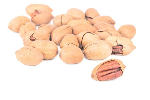 Scattered pecans in shell on white background