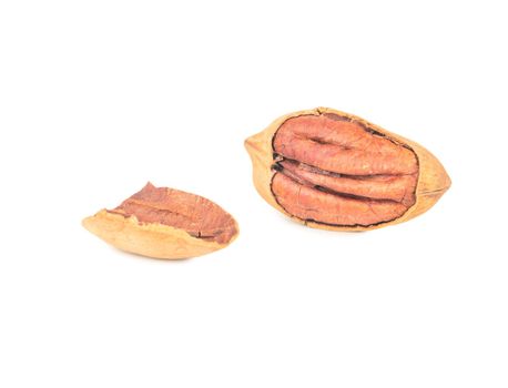 Pecan nut with broken shell isolated on white background