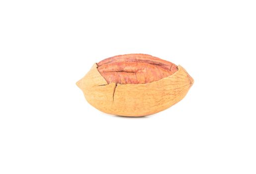 Pecan nut in cracked shell isolated on white background