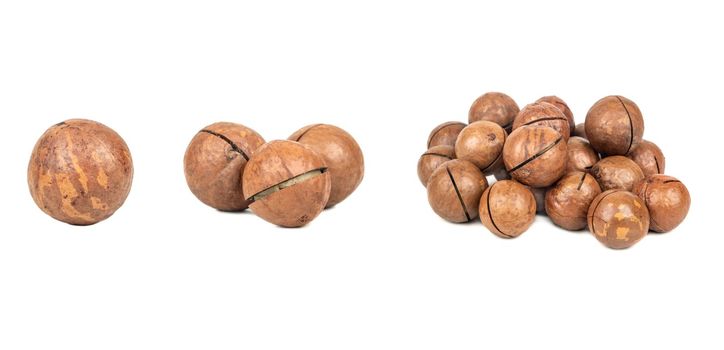 Macadamia nuts with peeled macadamia isolated on a white background. Set