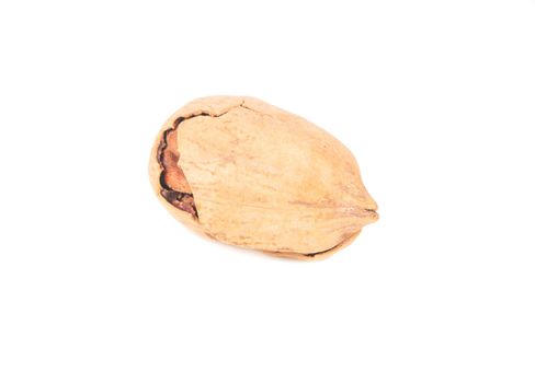 Pecan nut in shell isolated on white background