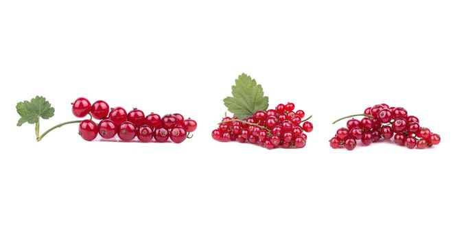 Red currant isolated. Currant red with leaves on white background. Currants on white. Red currant on branch. Clipping path.