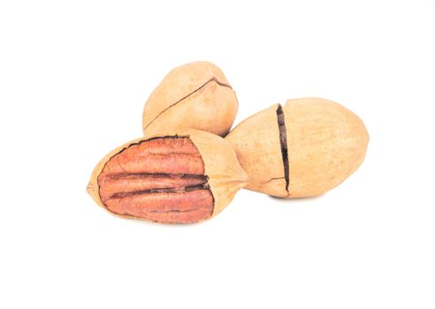 Three pecans in shell isolated on white background