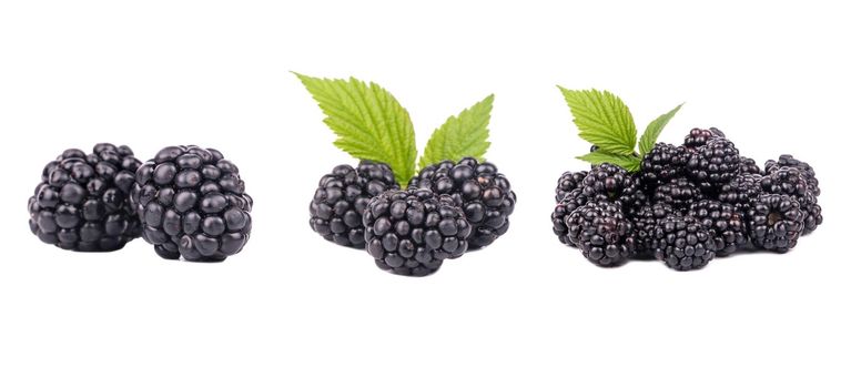 Ripe blackberry isolated on white background with clipping path. Fresh summer wild berries closeup. Detailed Blackberry collection with leaves.