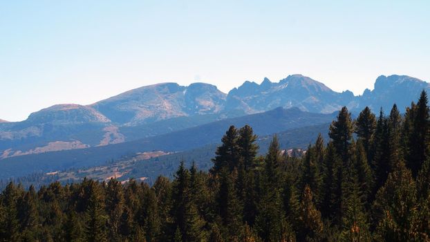 Fir-tops against the backdrop of the Rila Mountains, Bulgaria